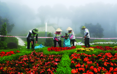 Giải Ba, tác phẩm “Chăm sóc sắc màu núi Bà”; tác giả: Tô Công Vinh (tỉnh Ninh Thuận)