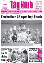 Bao in 242023