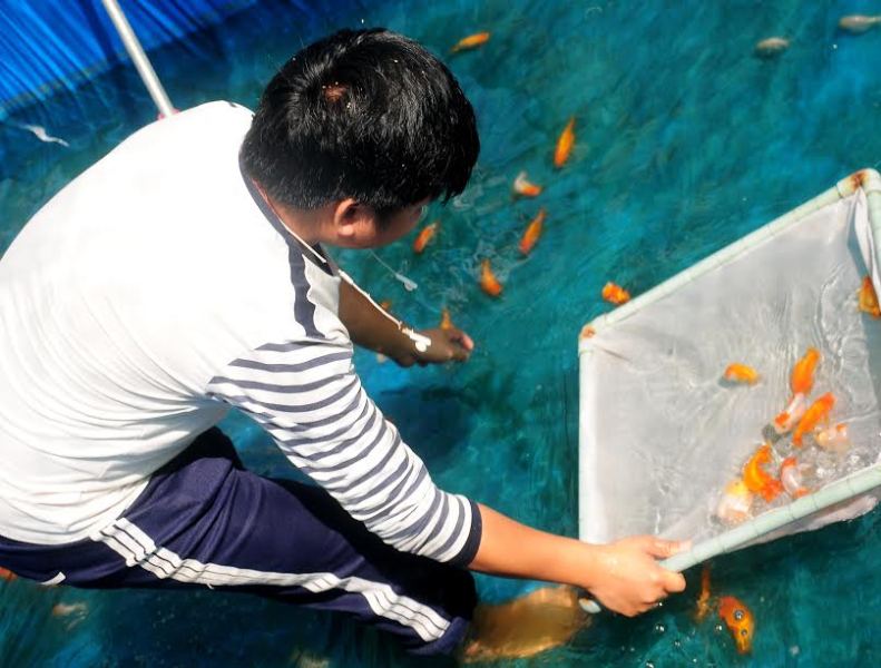 Cận cảnh trang trại nuôi cá tầm triệu đô ở Việt Nam  Kinh doanh