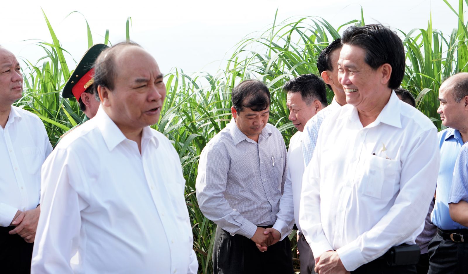 Tây Ninh phải phấn đấu làm giàu bằng nông nghiệp