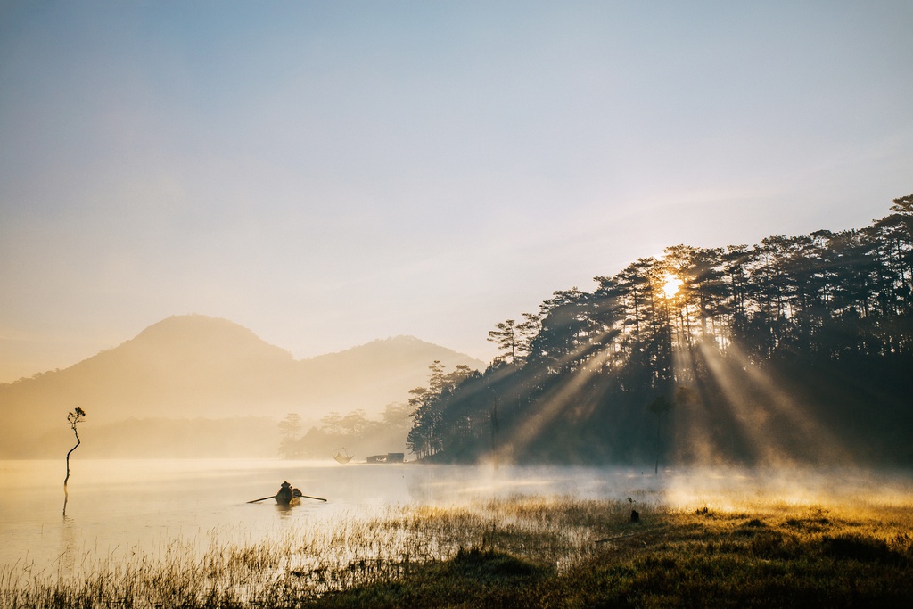 Hồ Tuyền Lâm huyền ảo trong sương sớm ngày xuân