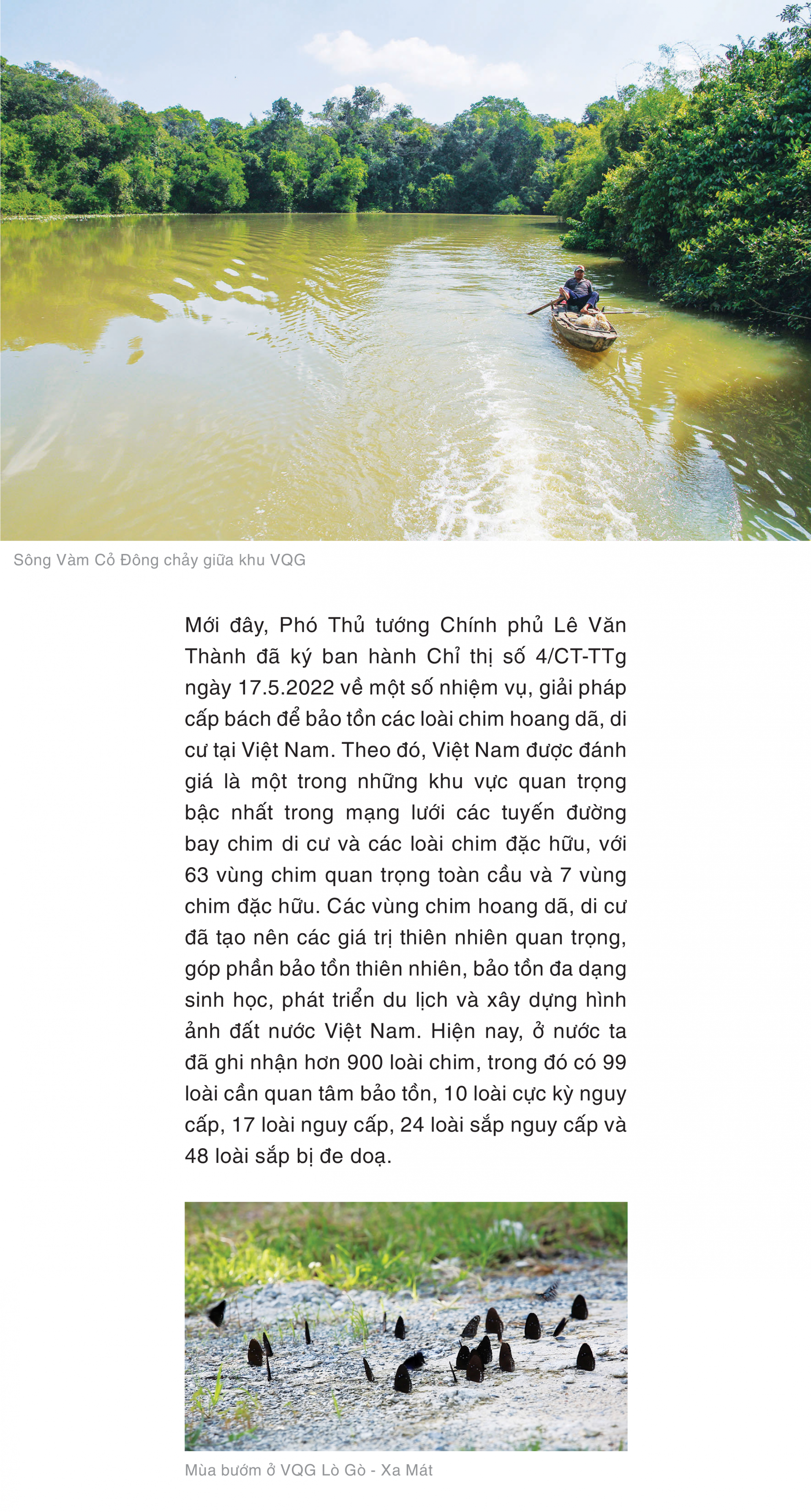 Vườn di sản ASEAN Lò Gò - Xa Mát: Khu bảo tồn tự nhiên độc đáo ở Việt Nam