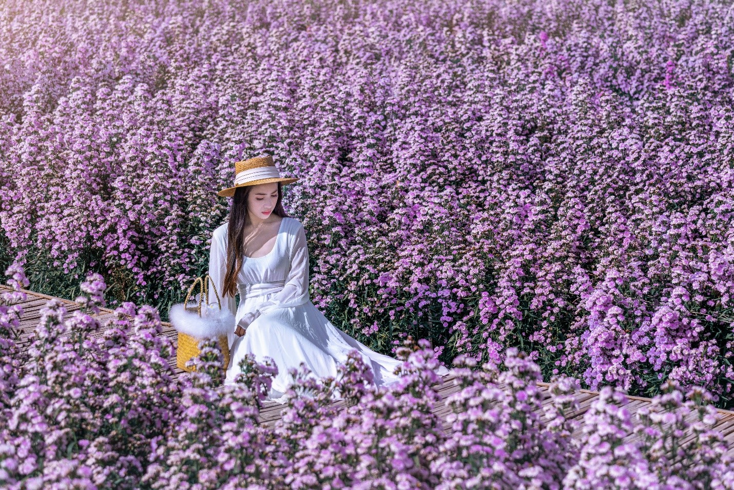 A person in a field of purple flowersDescription automatically generated