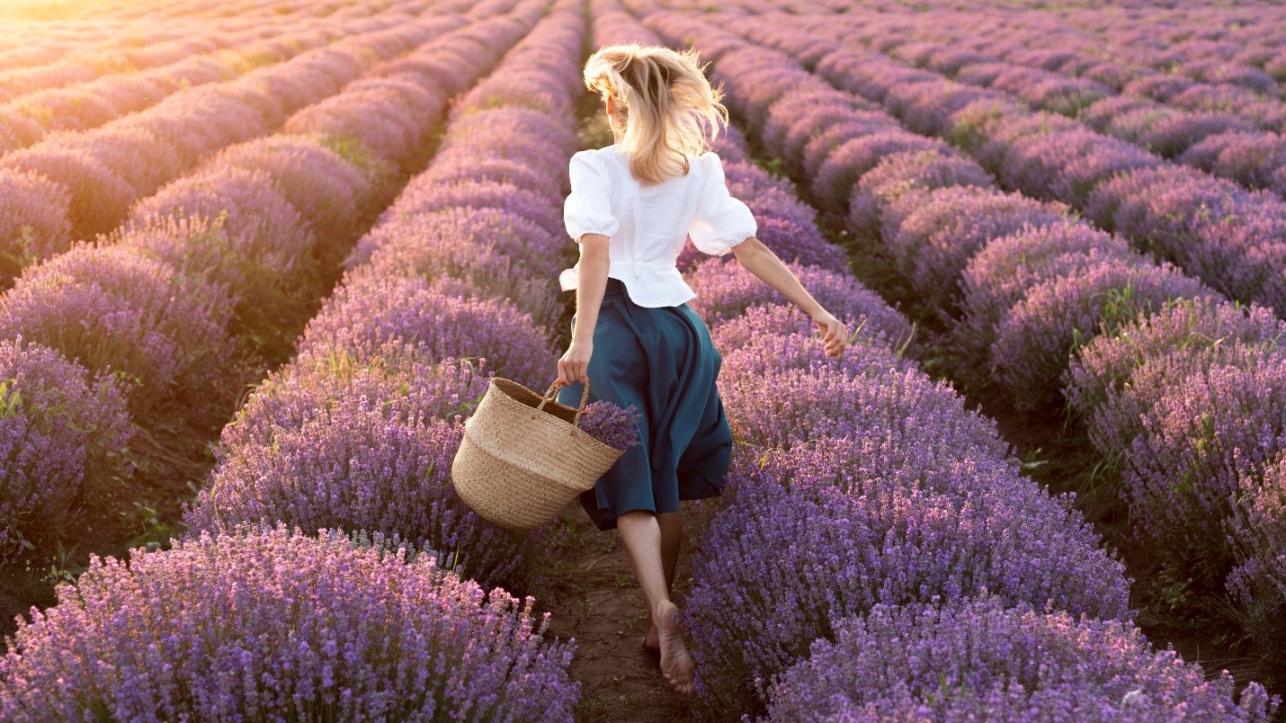 A person running through a field of lavenderDescription automatically generated with medium confidence