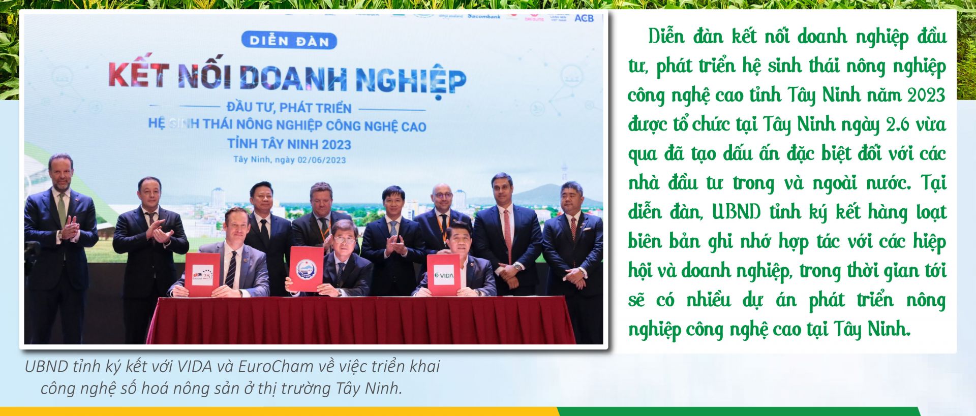 Tây Ninh - miền “đất lành” cho những dự án nông nghiệp công nghệ cao
