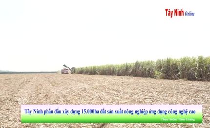 Tây Ninh phấn đấu xây dựng 15.000 ha đất sản xuất nông nghiệp ứng dụng công nghệ cao