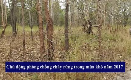 [video] Tây Ninh: Chủ động phòng chống cháy rừng trong mùa khô năm 2017