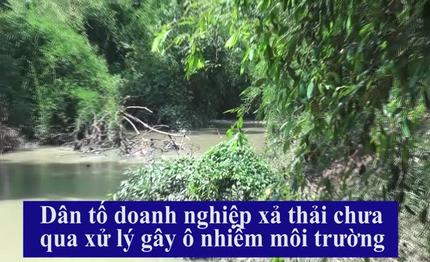 Tây Ninh: Dân tố doanh nghiệp xả thải chưa qua xử lý gây ô nhiễm môi trường