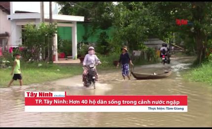 TP. Tây Ninh: Hơn 40 hộ dân sống trong cảnh nước ngập