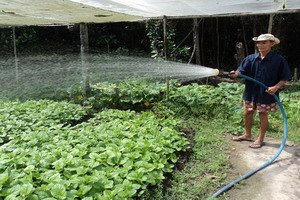 Tây Ninh triển khai thực hiện thí điểm mô hình Khu dân cư và Khu sản xuất kiểu mẫu