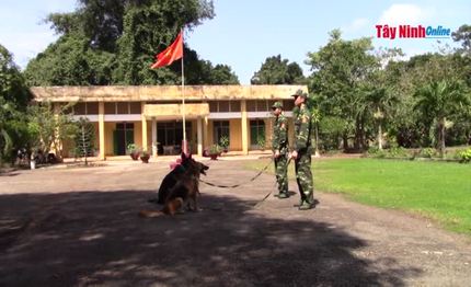 Những “chiến binh” đặc biệt