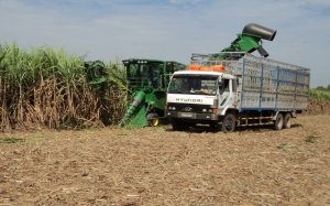 Chuyển đổi cơ cấu cây trồng và ứng dụng nông nghiệp công nghệ cao: Hướng đi tất yếu để phát triển nền nông nghiệp bền vững