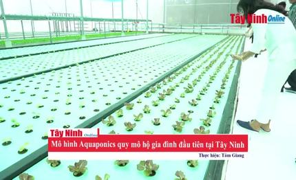 Mô hình Aquaponics quy mô hộ gia đình đầu tiên tại Tây Ninh