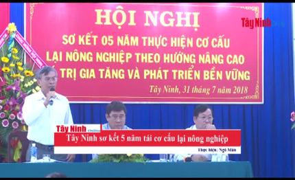 Tây Ninh sơ kết 5 năm tái cơ cấu lại nông nghiệp