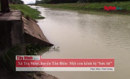 Một con kênh bị “bức tử”