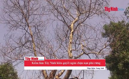 Kiểm lâm Tây Ninh kiên quyết ngăn chặn nạn phá rừng