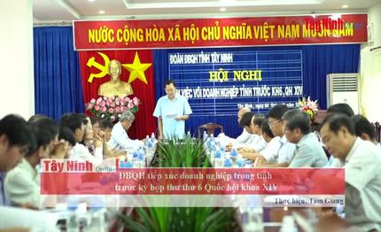 [Video] ĐBQH tiếp xúc doanh nghiệp trong tỉnh trước kỳ họp Quốc hội thứ 6