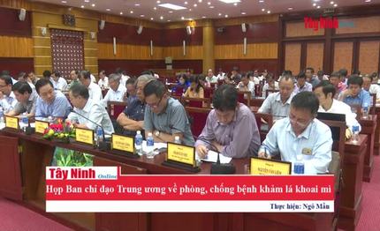 Họp Ban chỉ đạo Trung ương về phòng, chống bệnh khảm lá cây khoai mì