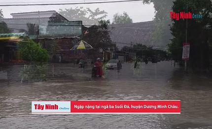 Nhiều diện tích lúa, cây trồng ở Tây Ninh bị ngập sau cơn bão số 9