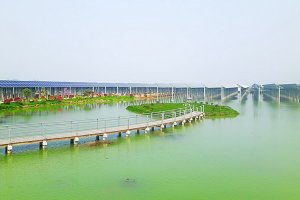 Năm 2019, dự kiến tổng thu ngân sách nhà nước  trên địa bàn tỉnh Tây Ninh là 8.000 tỷ đồng