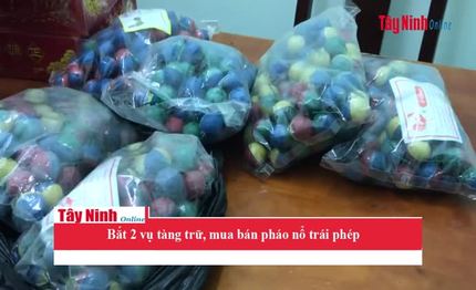 Bắt 2 vụ tàng trữ, mua bán pháo nổ trái phép