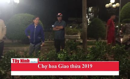 Chợ hoa Thành phố Tây Ninh đêm giao thừa