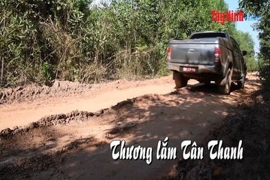 Thương lắm Tân Thanh