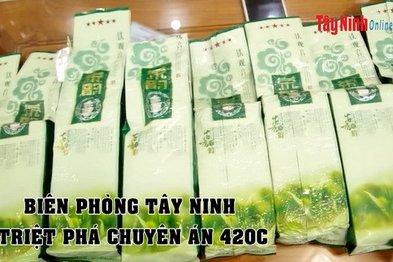 Những hệ lụy từ casino