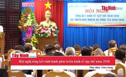 Hội nghị tổng kết tình hình phát triển kinh tế tập thể năm 2018