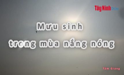 Mưu sinh trong mùa nắng nóng