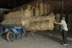 Đa số các Tổ hợp tác, HTX trên địa bàn tỉnh Tây Ninh hoạt động trong lĩnh vực nông nghiệp