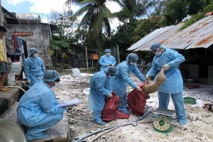 Tây Ninh: Dịch tả heo châu Phi có nguy cơ lây lan trên diện rộng