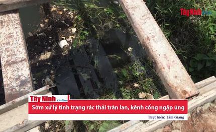 Sớm xử lý tình trạng rác thải tràn lan, kênh cống ngập úng