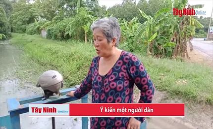 Kênh TN11 “kêu cứu”