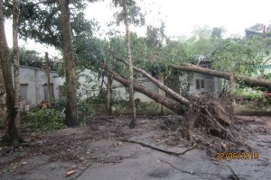 Những thiệt hại do thiên tai gây ra ngày càng nặng nề