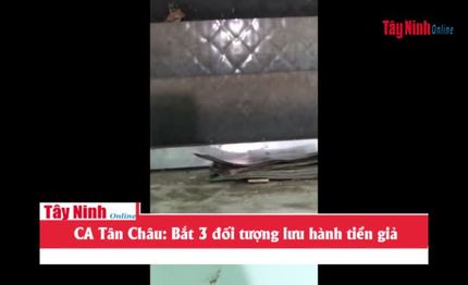 CA Tân Châu: Bắt 3 đối tượng lưu hành tiền giả