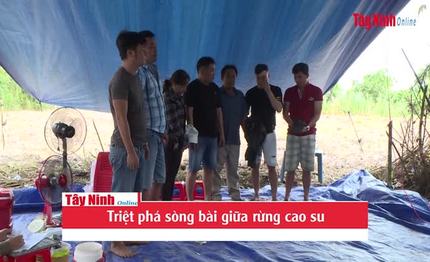 Triệt phá sòng bài giữa rừng cao su