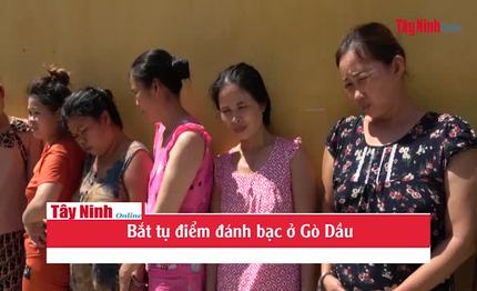 Bắt tụ điểm đánh bạc ở Gò Dầu