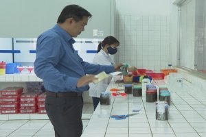 Người trồng mía nên yên tâm với kết quả đo chữ đường, tạp chất của Đoàn kiểm tra, giám sát chữ đường