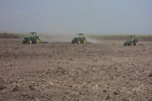Kỳ cuối: Giải pháp nào để phát triển bền vững ngành mía đường?