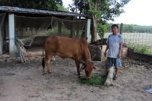 Cần đánh giá lại hiệu quả của các dự án nông nghiệp hỗ trợ người nghèo phát triển sản xuất