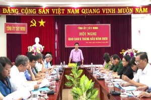 Ban Thường vụ Tỉnh ủy giao ban công tác 6 tháng đầu năm 2020