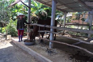 Tây Ninh nỗ lực trong công tác giảm nghèo