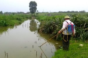 Ngăn chặn tình trạng sử dụng xung điện, chất độc, chất nổ và ngư cụ cấm để khai thác thủy sản