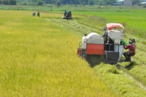 Tây Ninh: Tiến độ xây dựng nông thôn mới hoàn thành theo kế hoạch đề ra