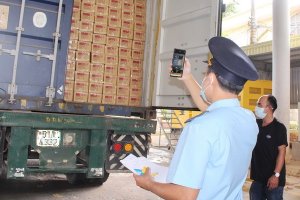 Tình hình buôn lậu, gian lận thương mại và hàng giả có chiều hướng gia tăng