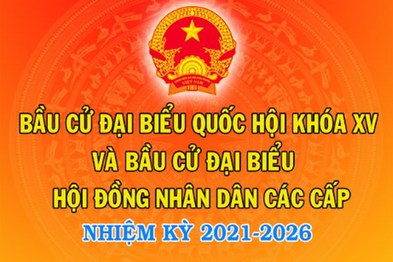 Điểm tin 24/7 Kỳ 19-2021