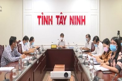 Diện tích xuống giống toàn vùng Nam bộ vụ Hè Thu 2021 đạt gần 1,6 triệu ha