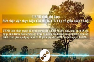 UBND tỉnh chỉ đạo: Siết chặt việc thực hiện Chỉ thị 16-CT/TTg về giãn cách xã hội