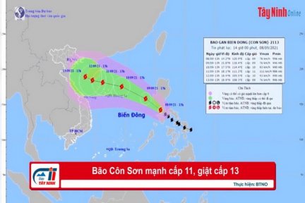 Bão Côn Sơn mạnh cấp 11, giật cấp 13